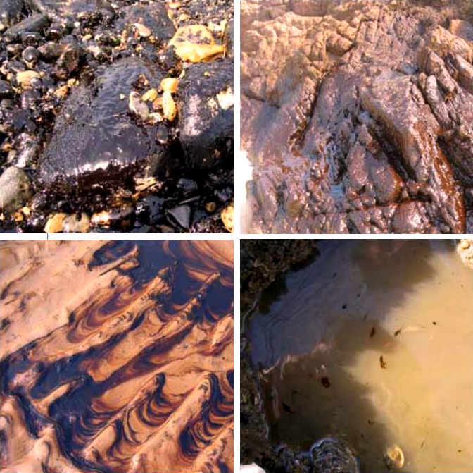 oil spillage pyrolysis